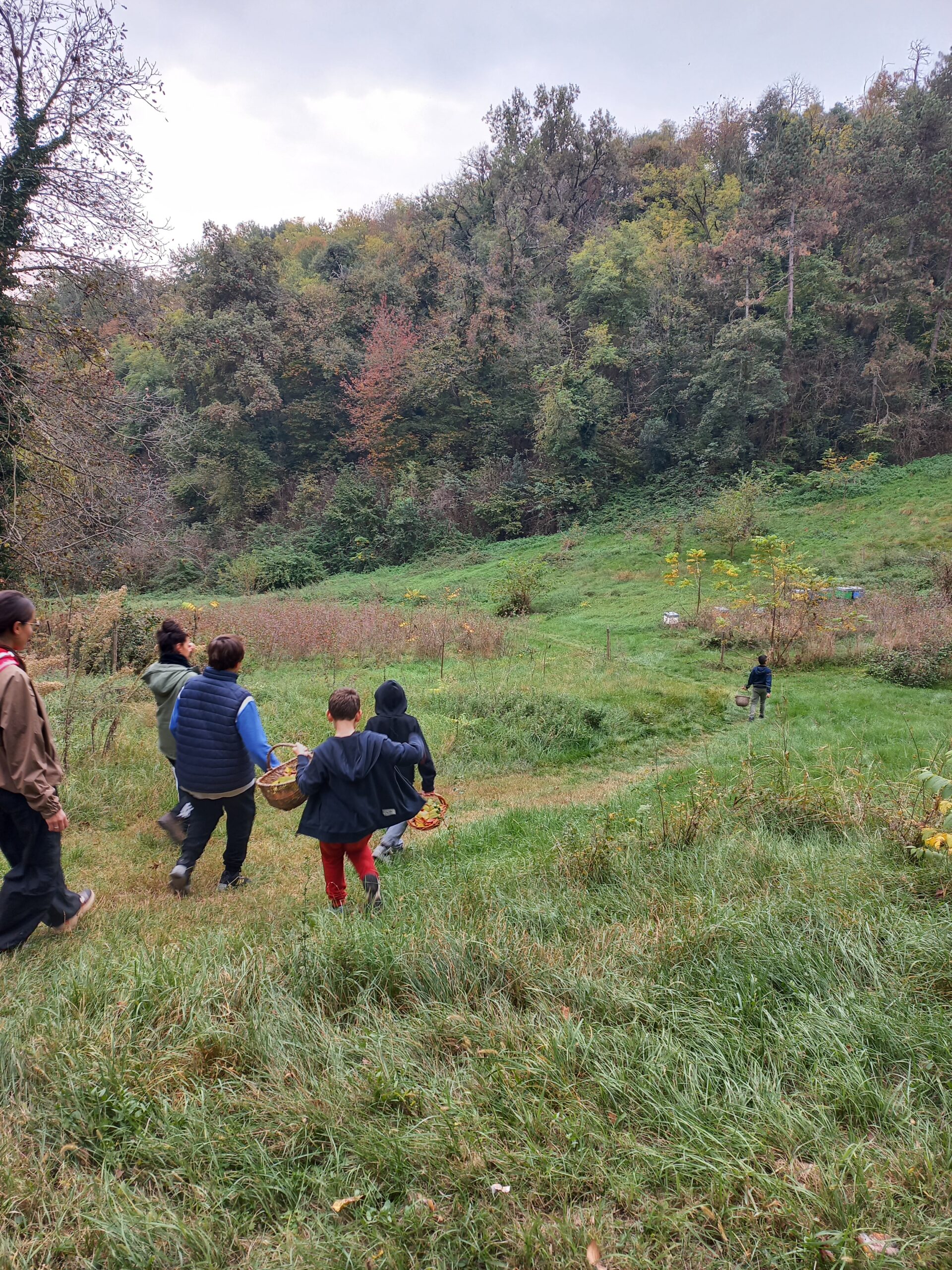 Piani di Volo: weekend in Fattoria per crescere insieme